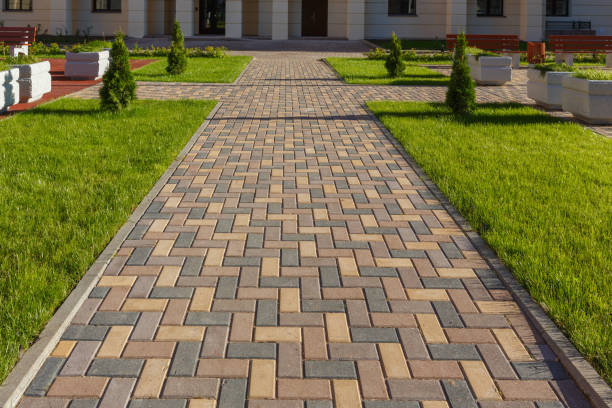Best Driveway Paving Company  in Wellington, CO
